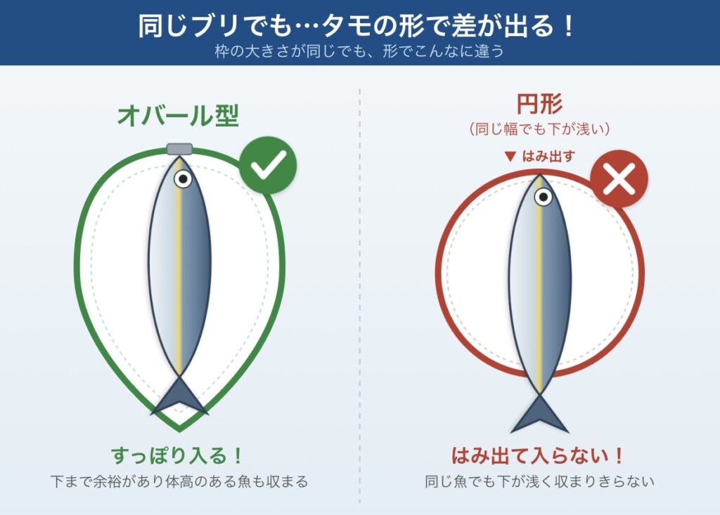 タモ網のオバール型と円形の比較図。同じサイズのブリでも、オバール型は下まで深さがあり魚がすっぽり入るが、円形は下が浅く同じ魚がはみ出して入らないことを示している