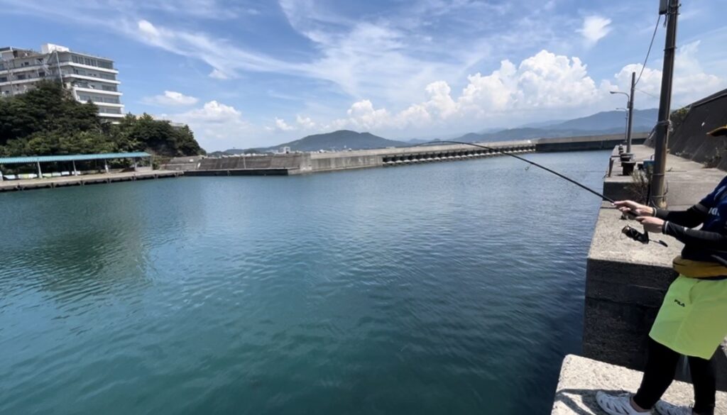 和歌山県田ノ浦漁港の釣り場の様子。澄んだきれいな海と青空、堤防から釣りをする様子が広がる開放的なロケーション